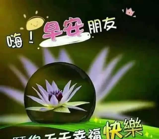 我的战争 1000字观后感_我的战争观后感500字_我的战争观后感500字